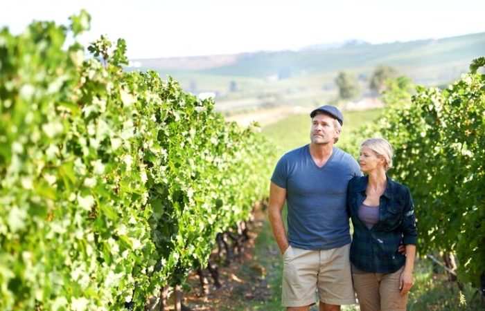 εικόνα_Viber_2025-04-16_00-22-02-465