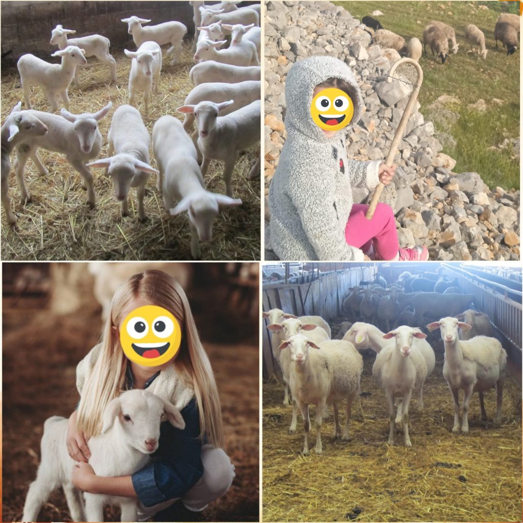 Κτηνοτροφία Αργολίδα