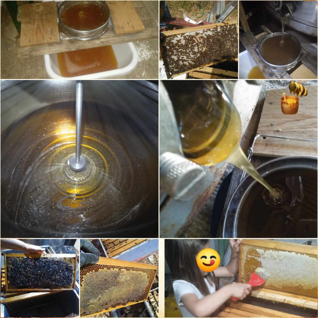 Εξαγωγή μελιού