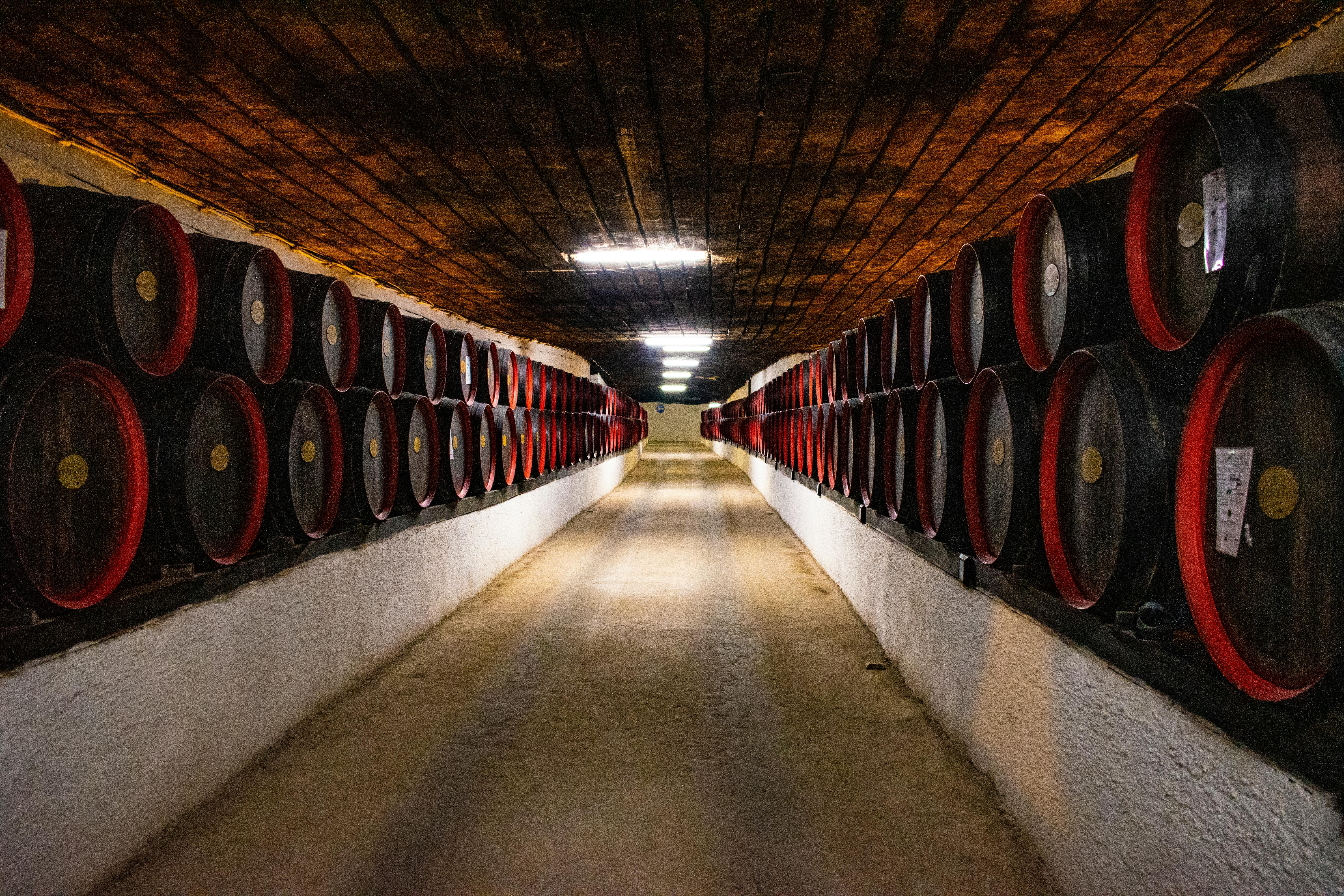Slide4