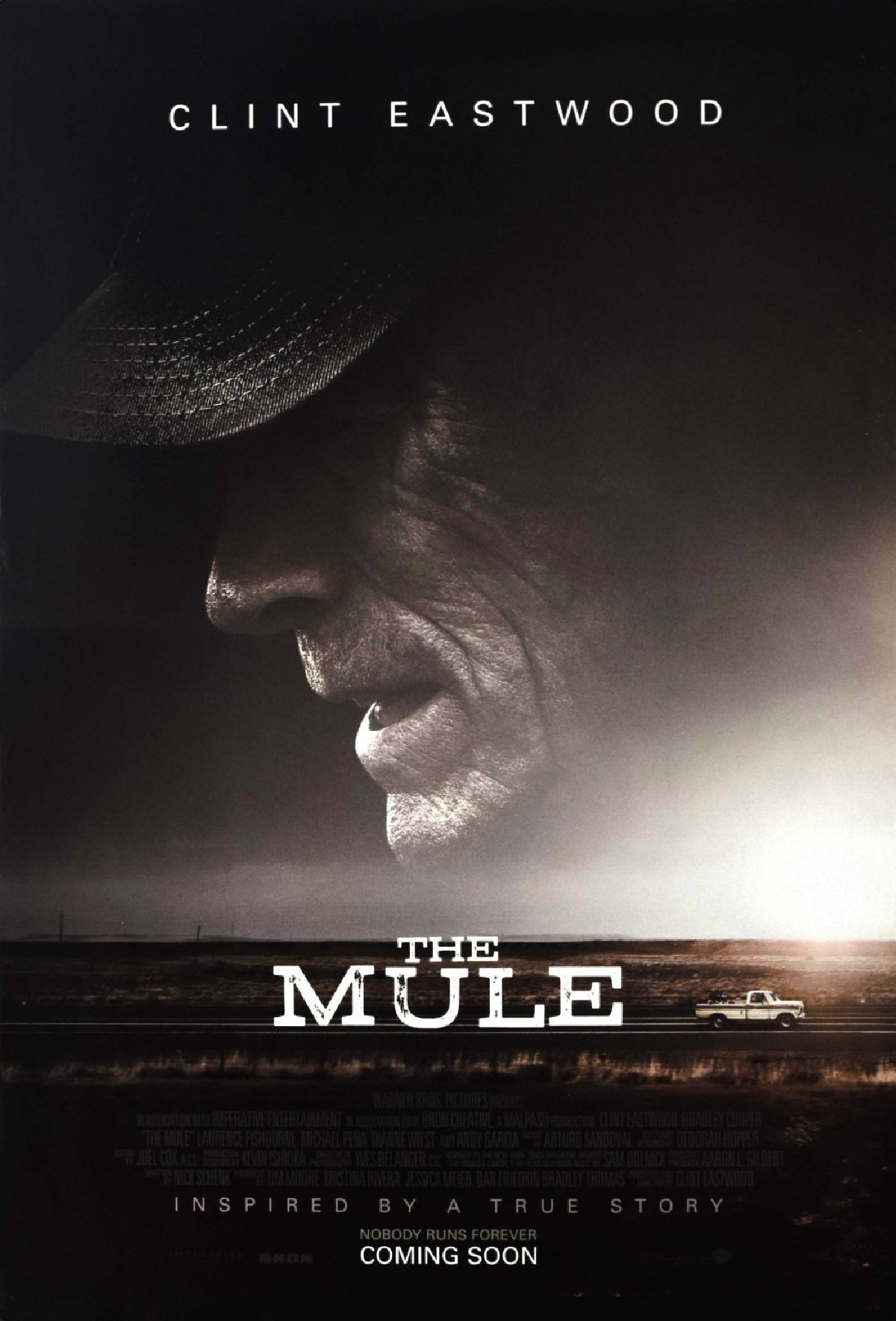 The Mule
