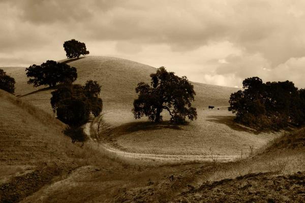Portfolio farm image